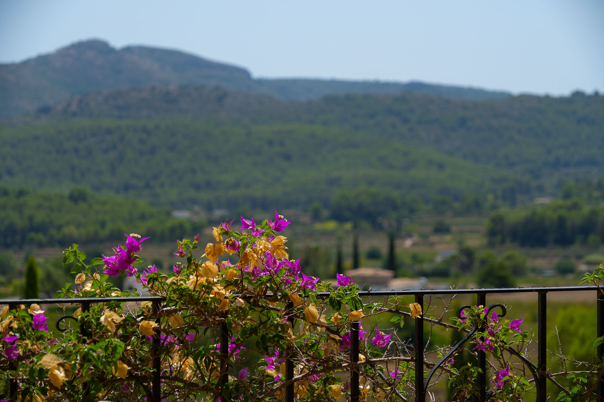 Bergblick von der Terrasse