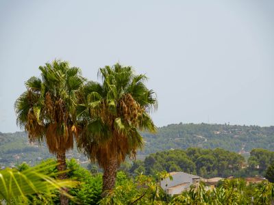 Blick auf Tal und Berge