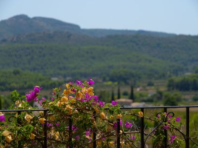 Bergblick von der Terrasse