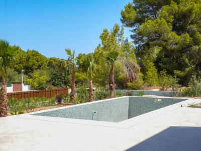 Pool und Garten