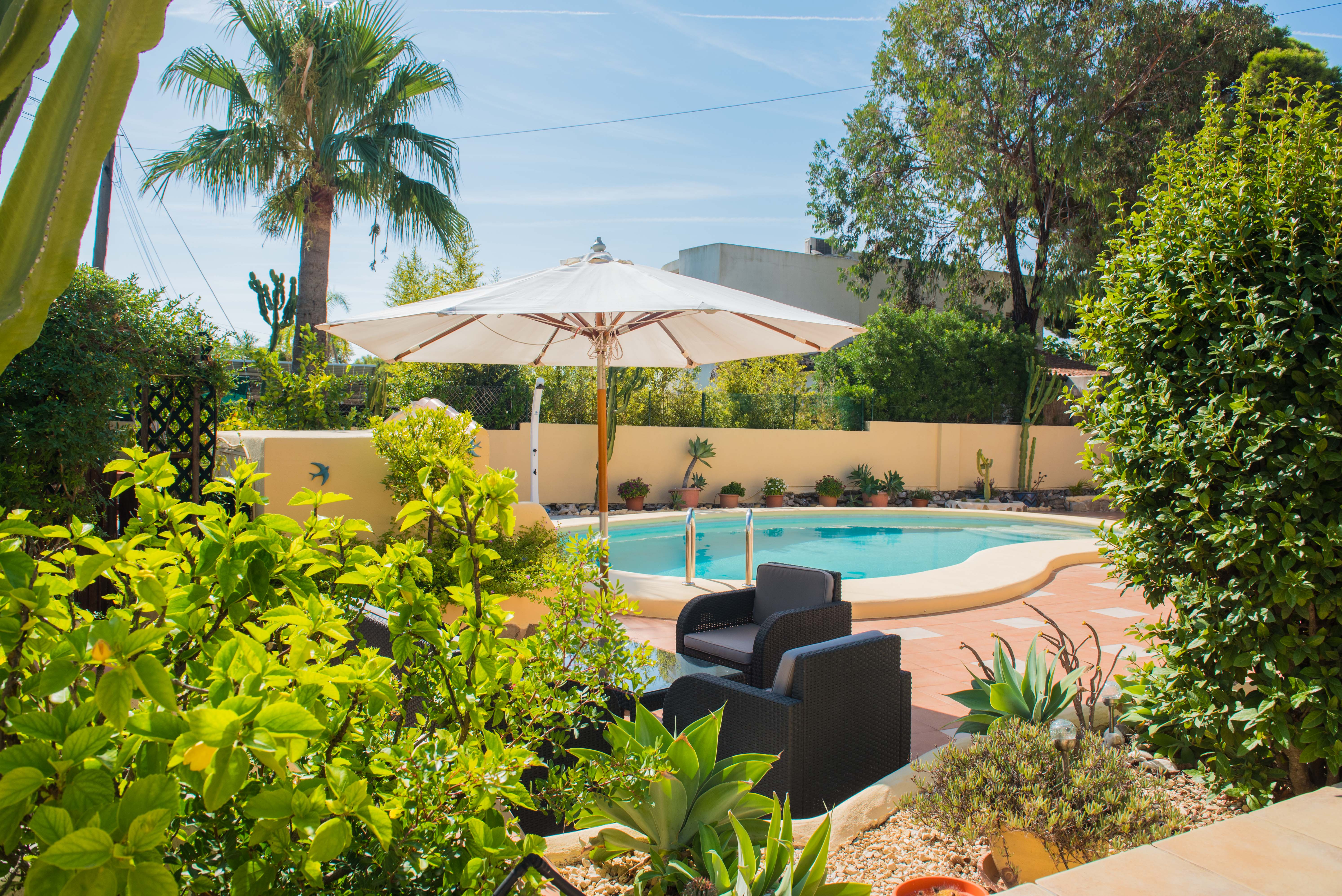 Pool und Garten