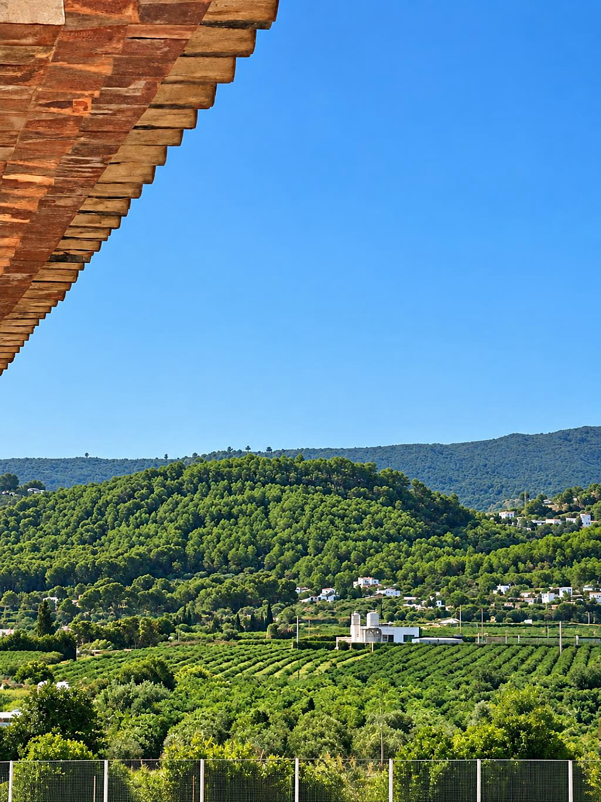 Blick auf die Berge