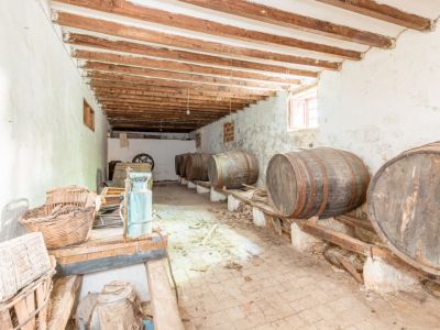 Historischer Weinkeller