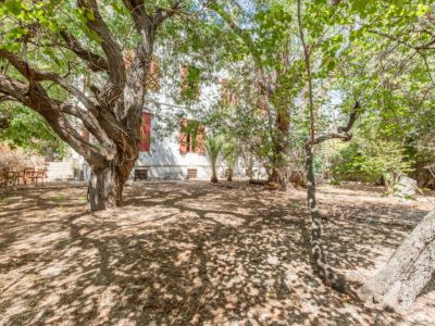 Garten mit altem Baumbestand