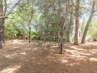 Garten mit Baumbestand