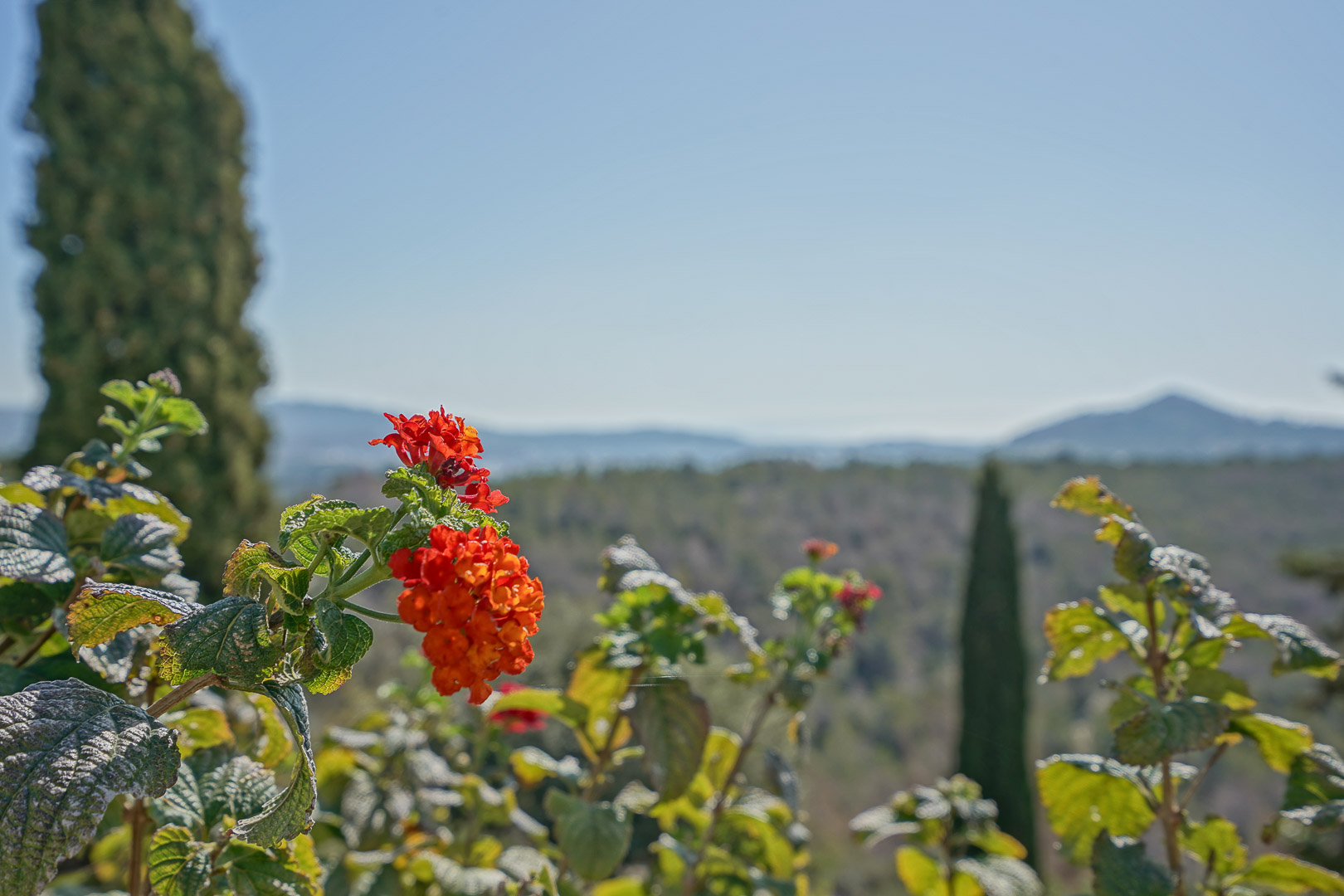 Garten mit Landschaftsblick