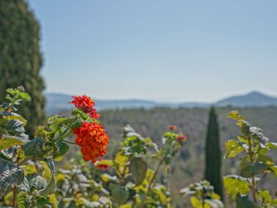 Garten mit Landschaftsblick