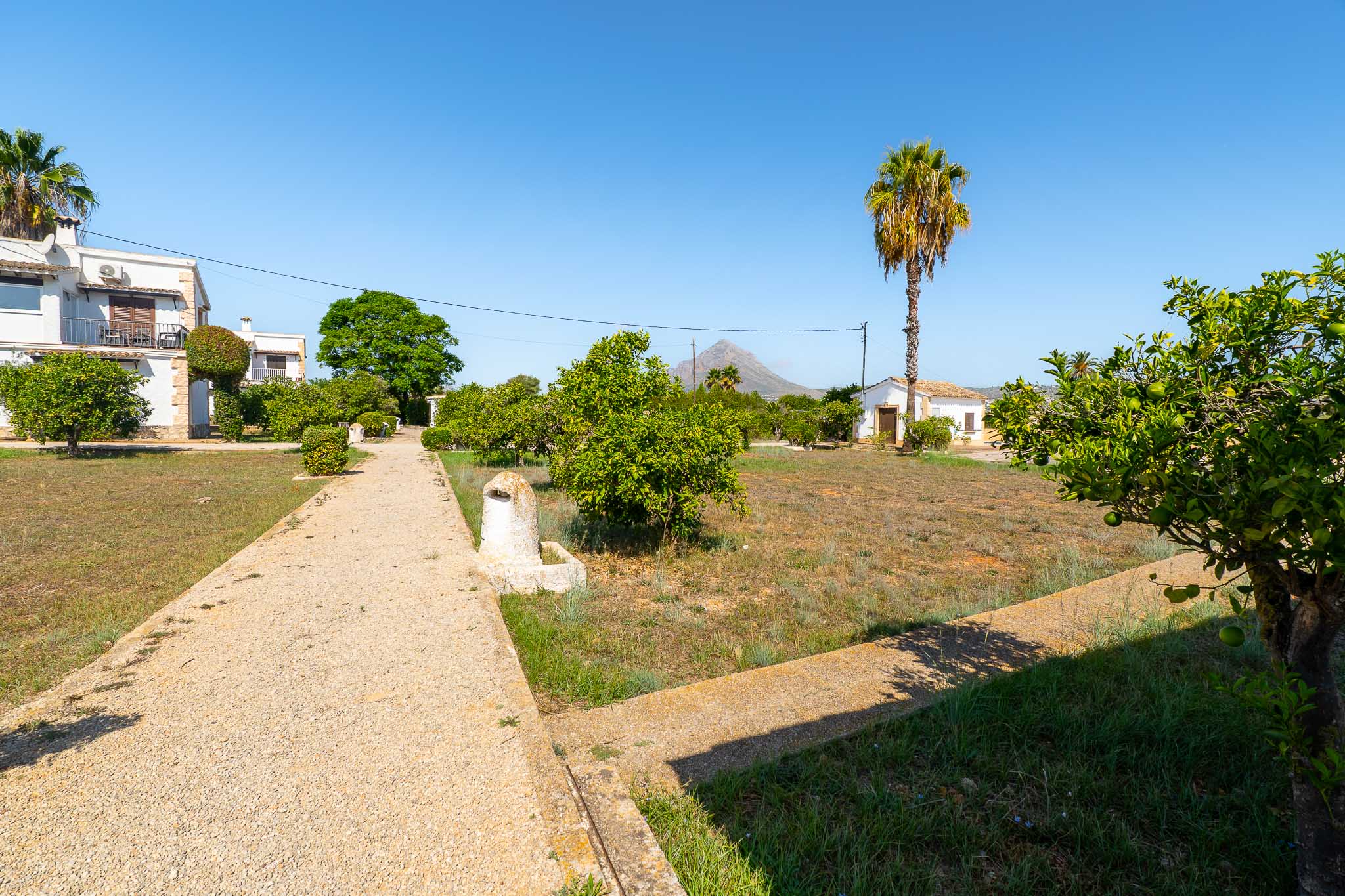 Gemeinschaftsgarten mit Bergblick