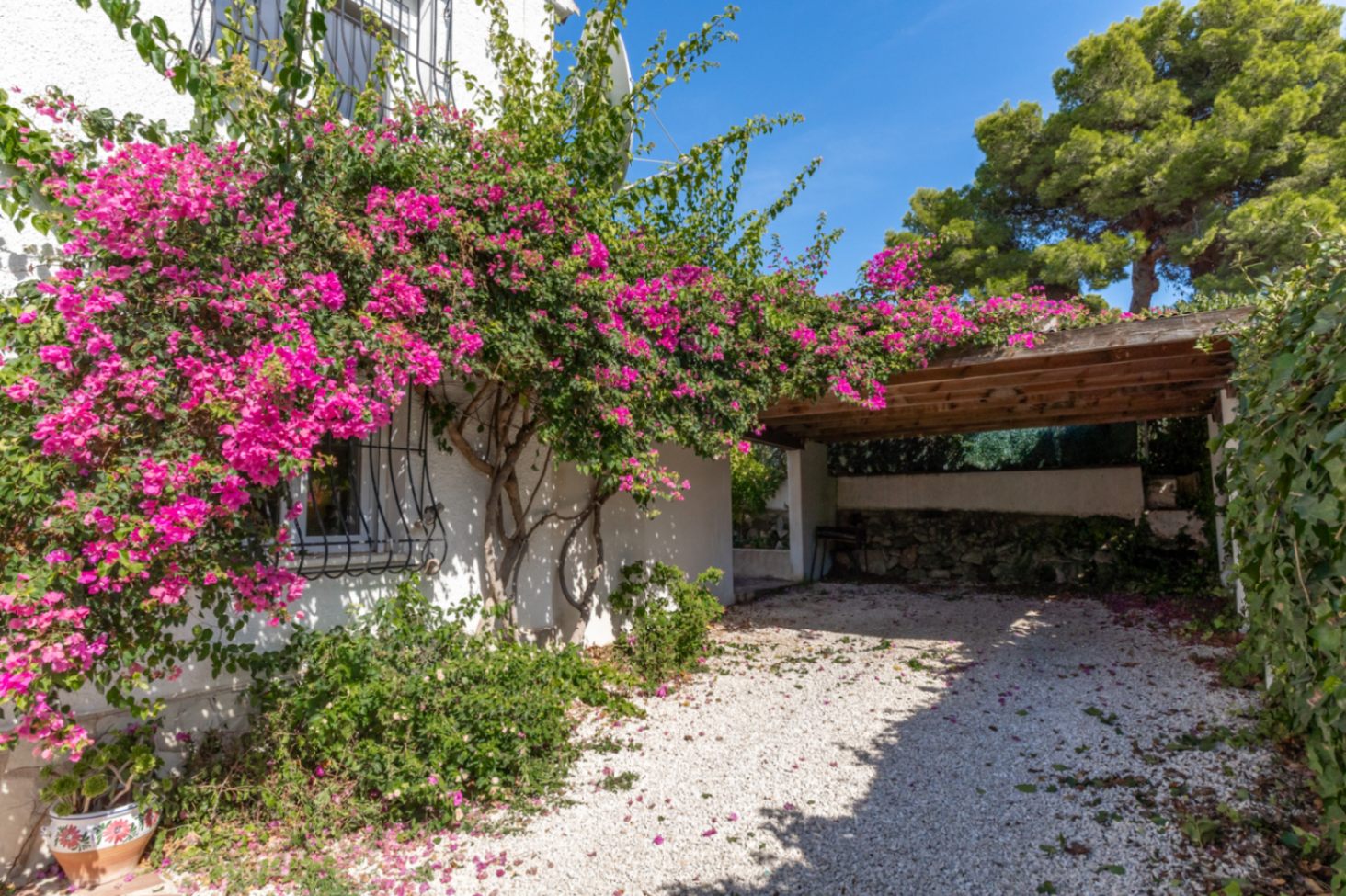 Carport und Einfahrt