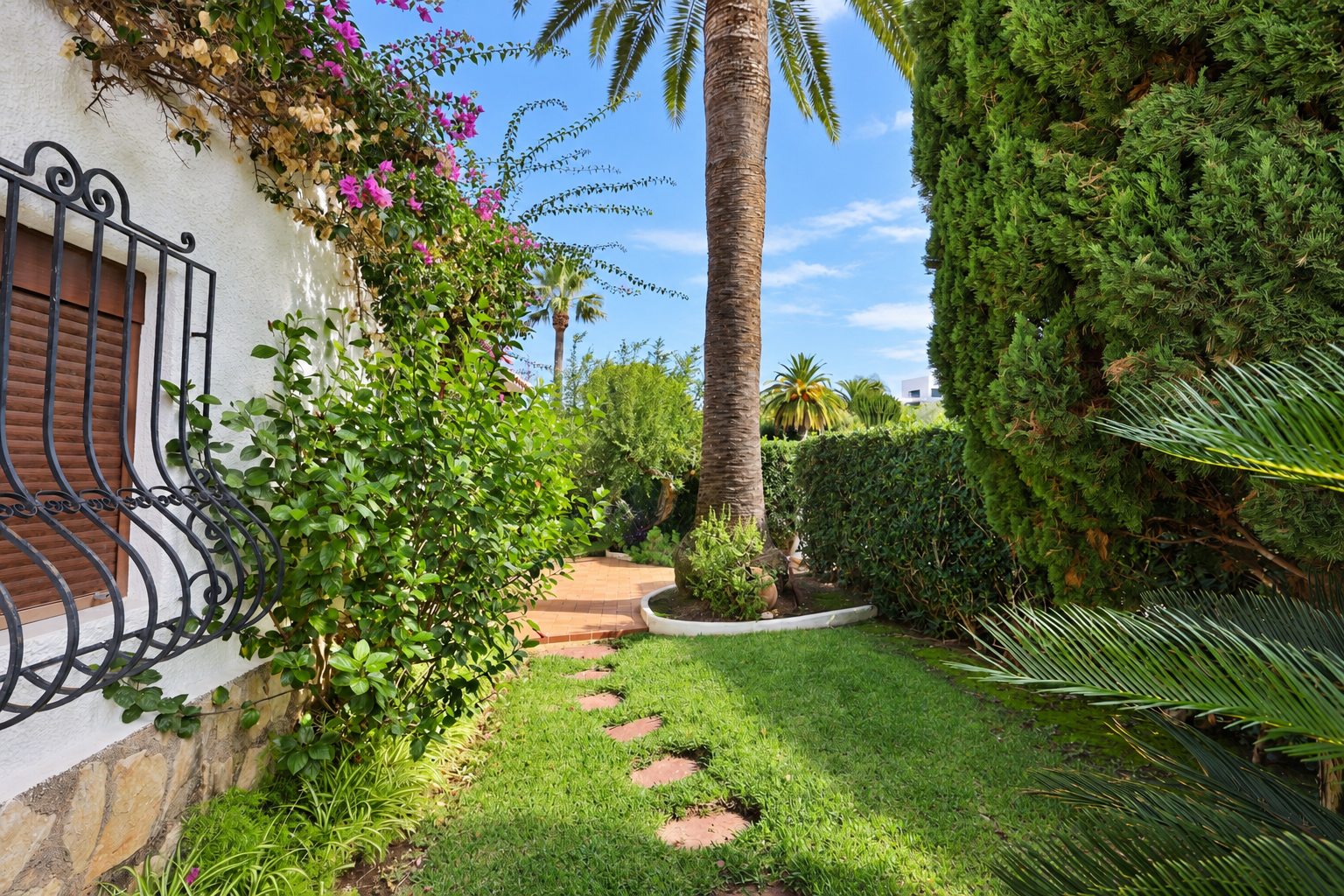 Garten mit Palme