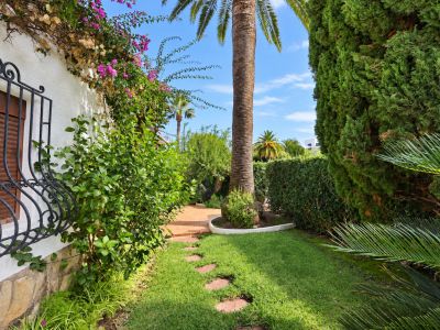 Garten mit Palme
