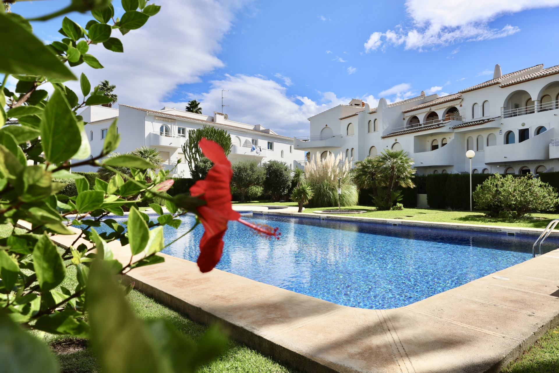 Gemeinschaftspool und Gartenanlage