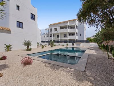 Gemeinschaftspool und Garten