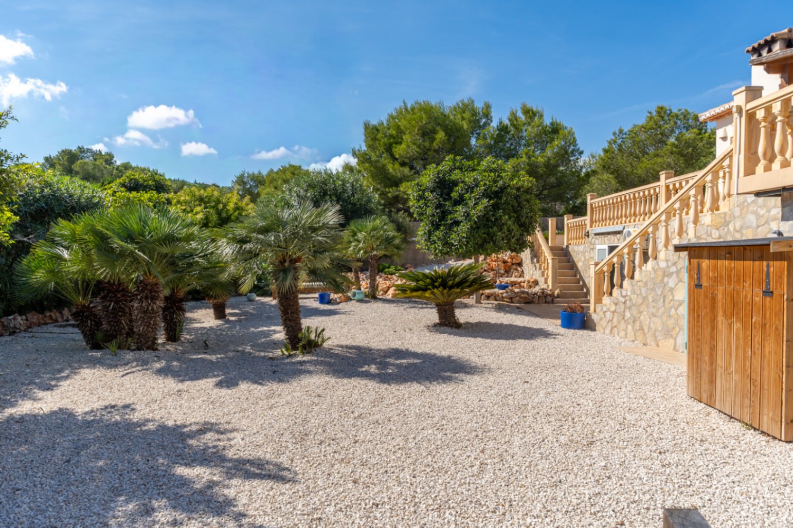 Mediterraner Garten mit Palmen
