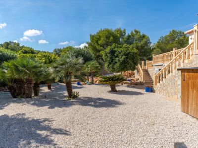 Mediterraner Garten mit Palmen
