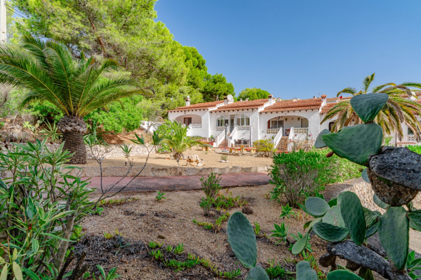 Außenbereich und Garten des Bungalows