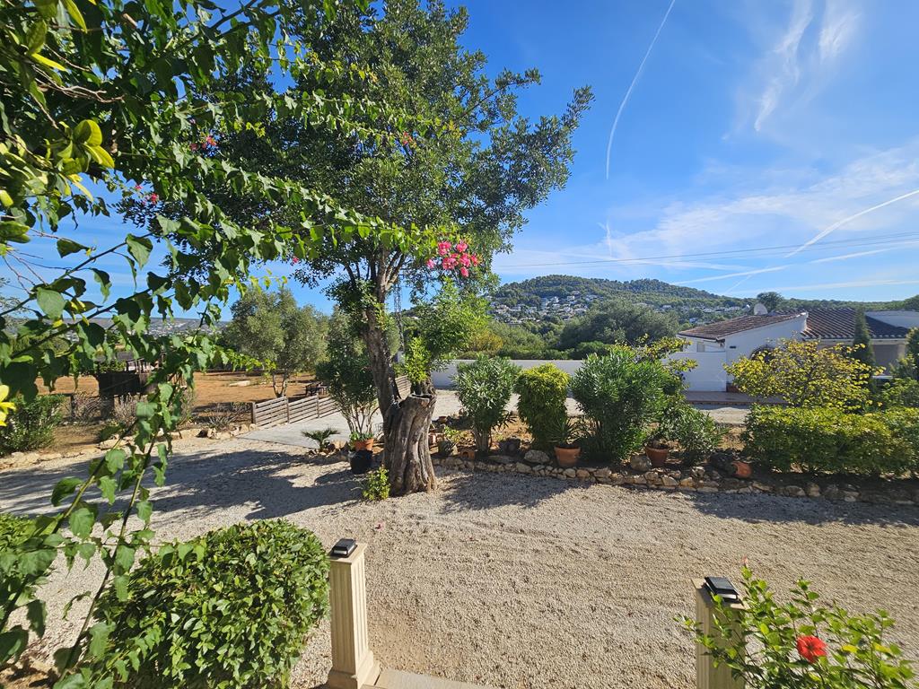 Garten mit Bergblick