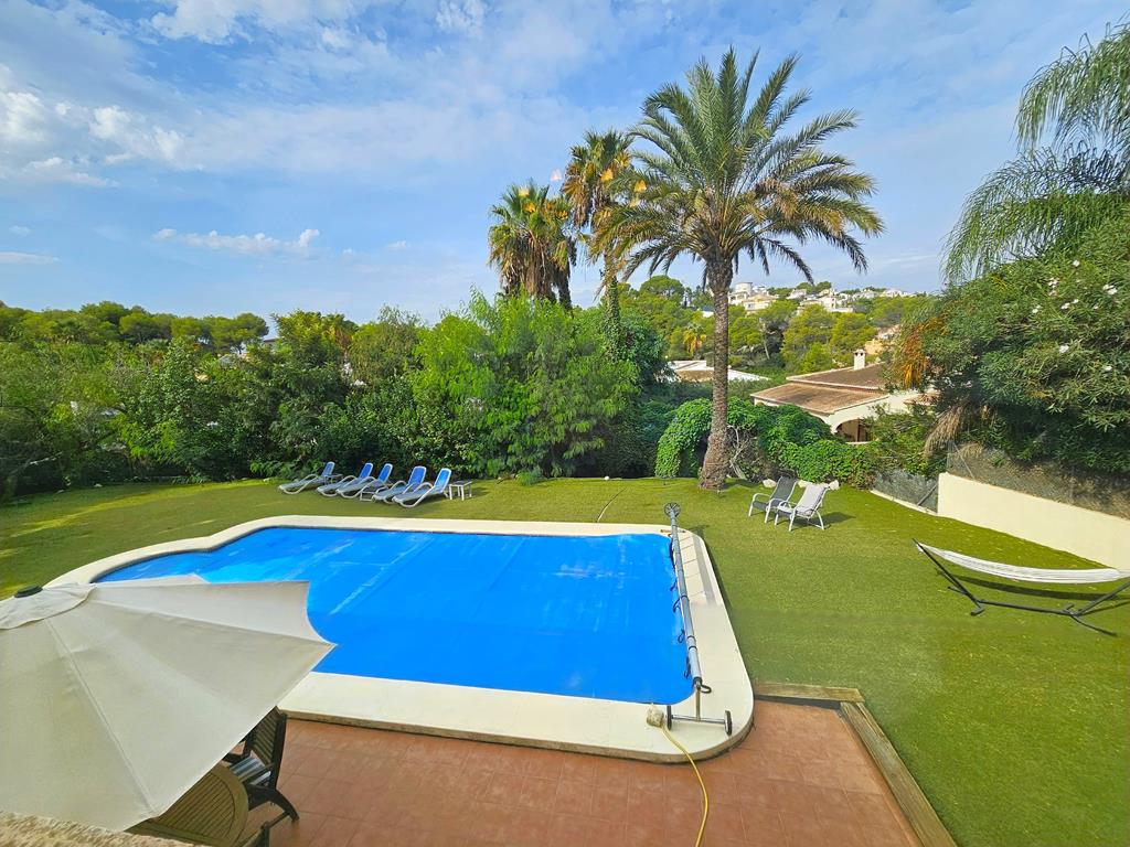 Pool und Garten