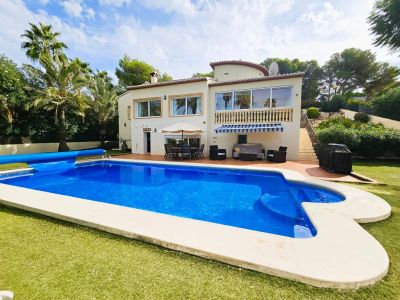 Pool und Garten