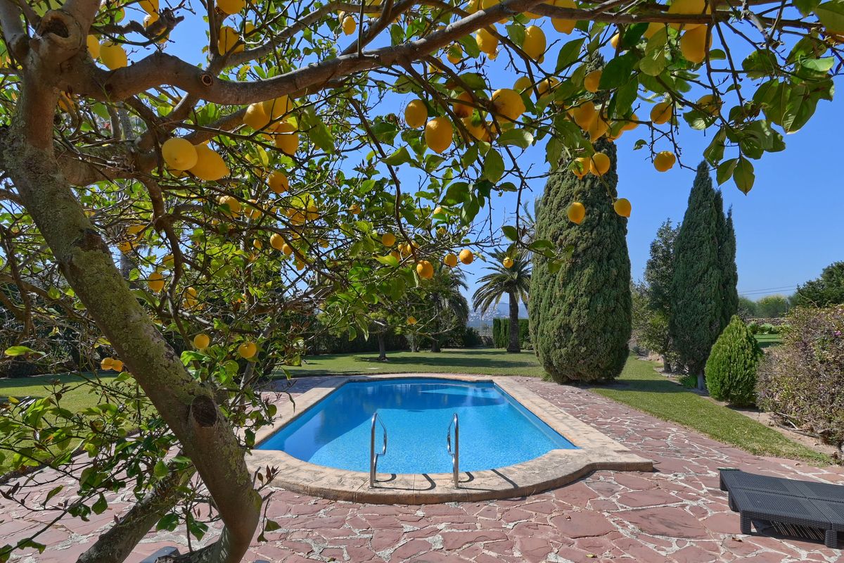 Privater Swimmingpool mit Natursteinumrandung und Rasenfläche, eingerahmt von einem Zitronenbaum und hochgewachsenen mediterranen Zypressen.