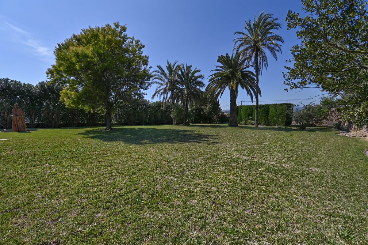 Weitläufige, gepflegte Rasenfläche mit altem Palmenbestand, Laubbäumen und blickdichten Hecken in einer sonnigen Gartenanlage.
