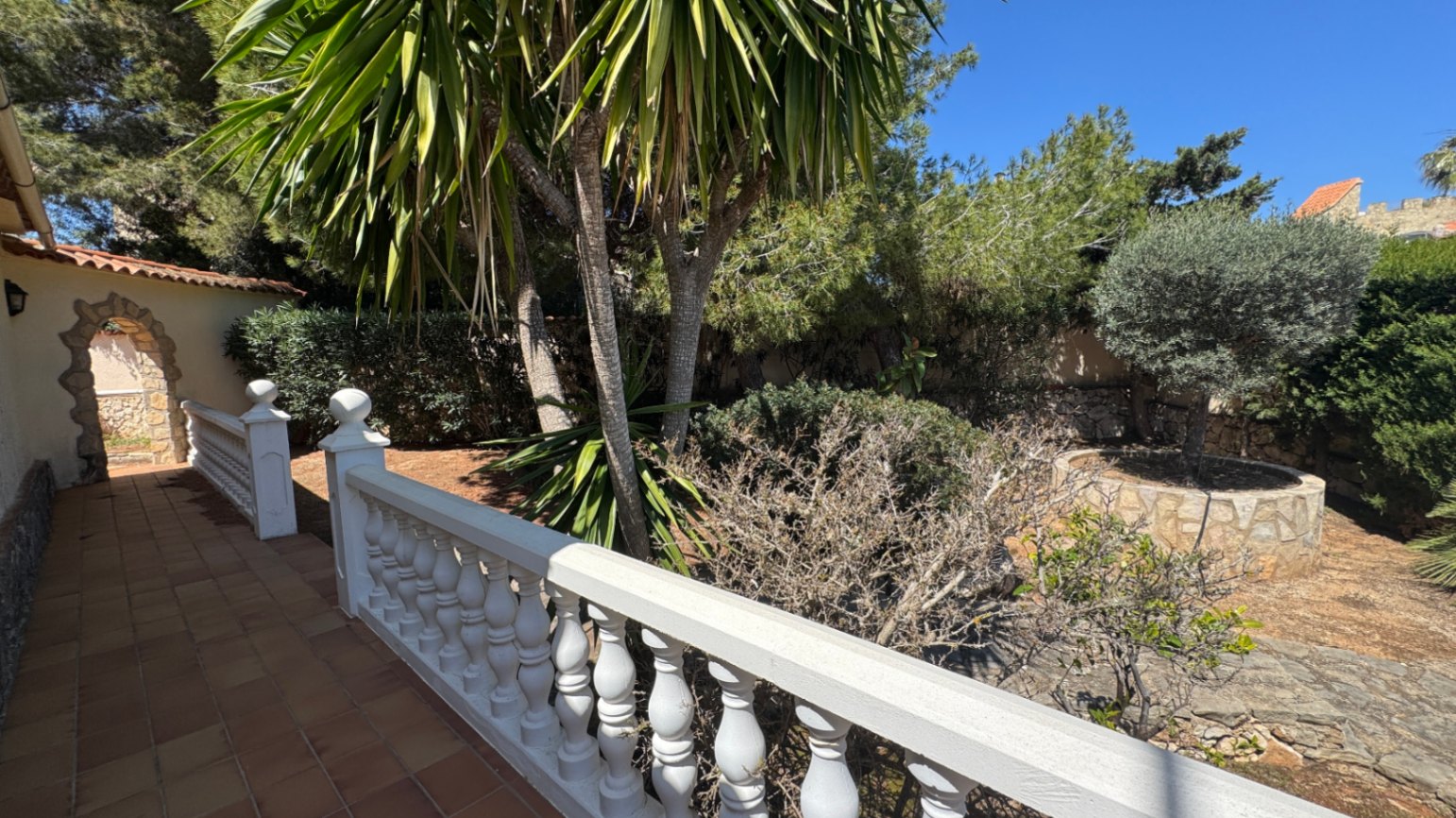 Terrasse mit Terrakottafliesen und weißer Balustrade, angrenzend an einen mediterranen Garten mit Palmen und einem in Stein eingefassten Olivenbaum.
