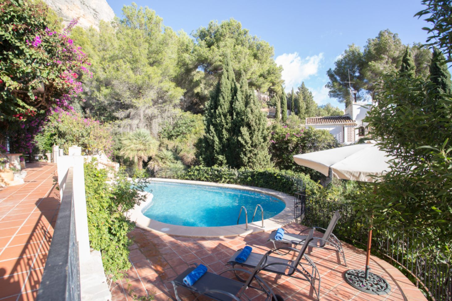 Nierenförmiger Pool auf einer Terrakotta-Terrasse mit Liegestühlen, eingebettet in eine Kulisse aus Pinien und mediterraner Flora.
