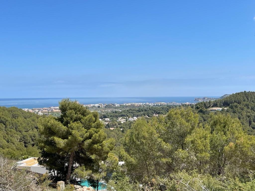 Erhöhter Panoramablick über einen dichten Pinienwald auf die Mittelmeerküste und das Meer unter klarem blauem Himmel.