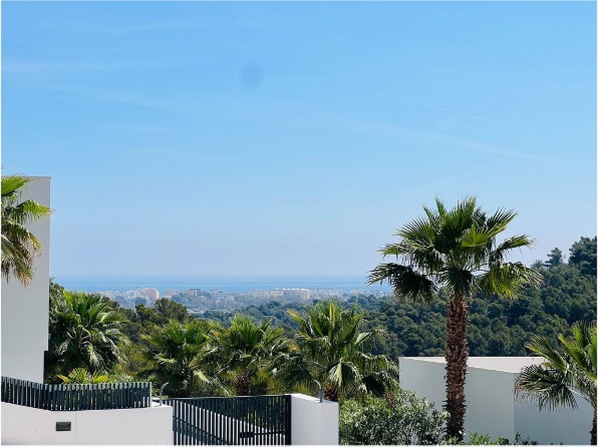 Panoramablick vom Anwesen über Palmen und einen Pinienwald bis hin zur Küstenlinie und dem Mittelmeer am Horizont.