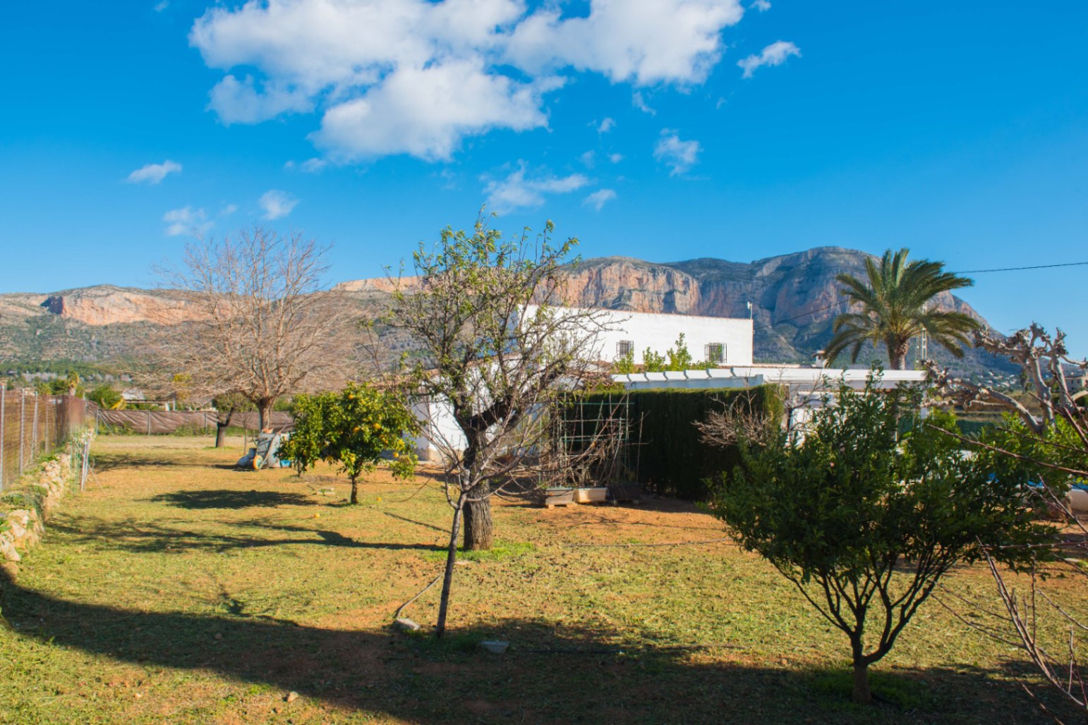 Außenansicht der weißen Villa mit großem Garten, Obstbäumen und einer Palme vor der Kulisse des Montgó-Bergmassivs unter blauem Himmel.