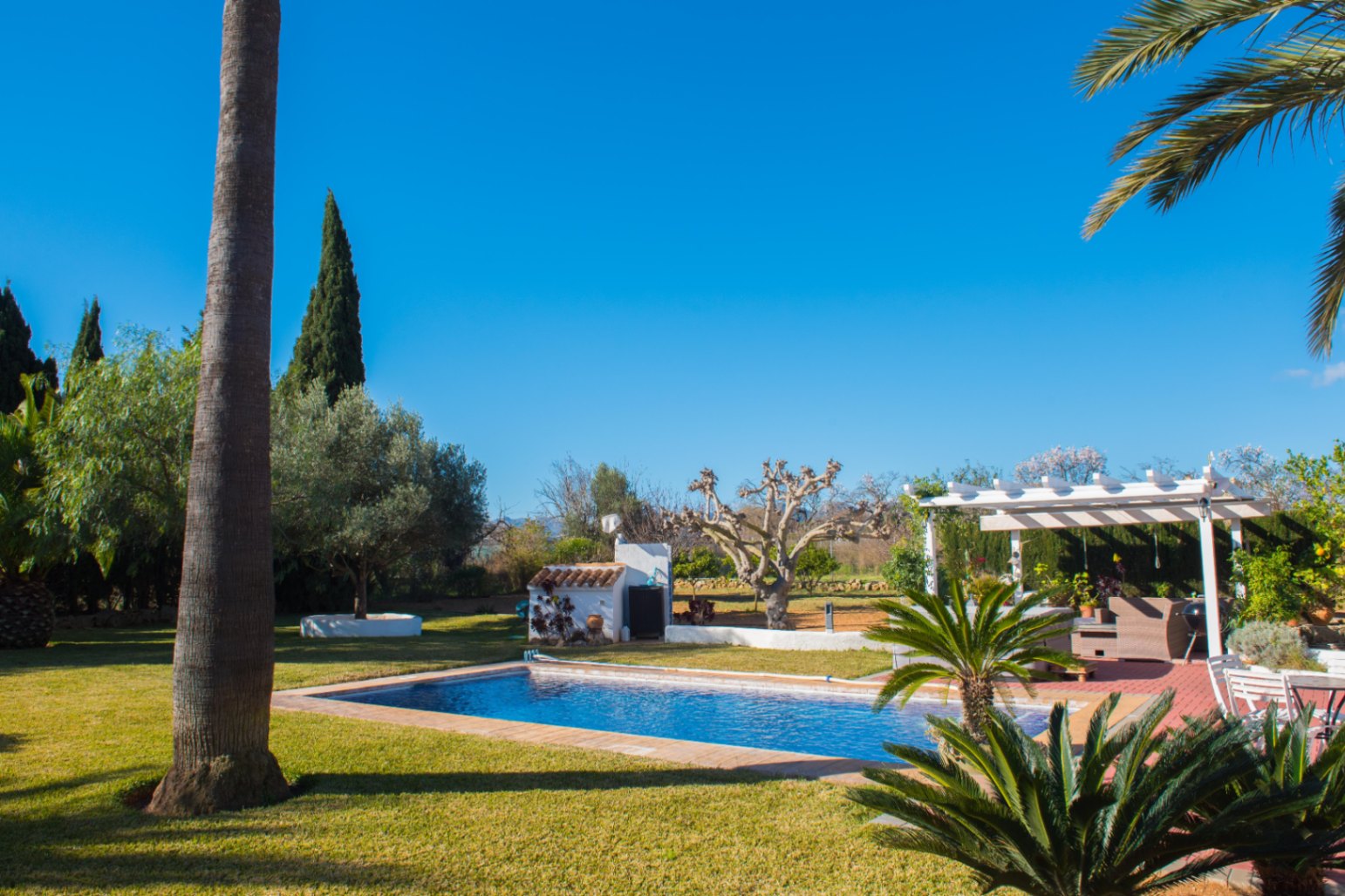 Außenpool umgeben von gepflegtem Rasen, mit einer weißen Pergola, Palmen und mediterraner Vegetation unter strahlend blauem Himmel.