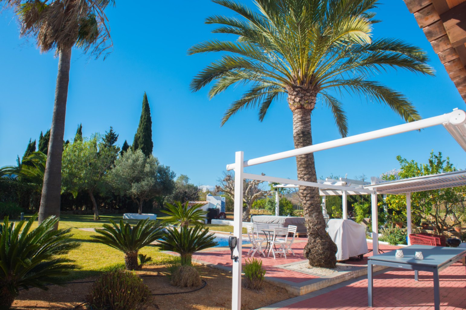 Gepflegter mediterraner Garten mit alten Palmen, weißer Pergola-Struktur und Terracotta-Terrasse mit Essbereich im Freien neben dem Poolbereich.
