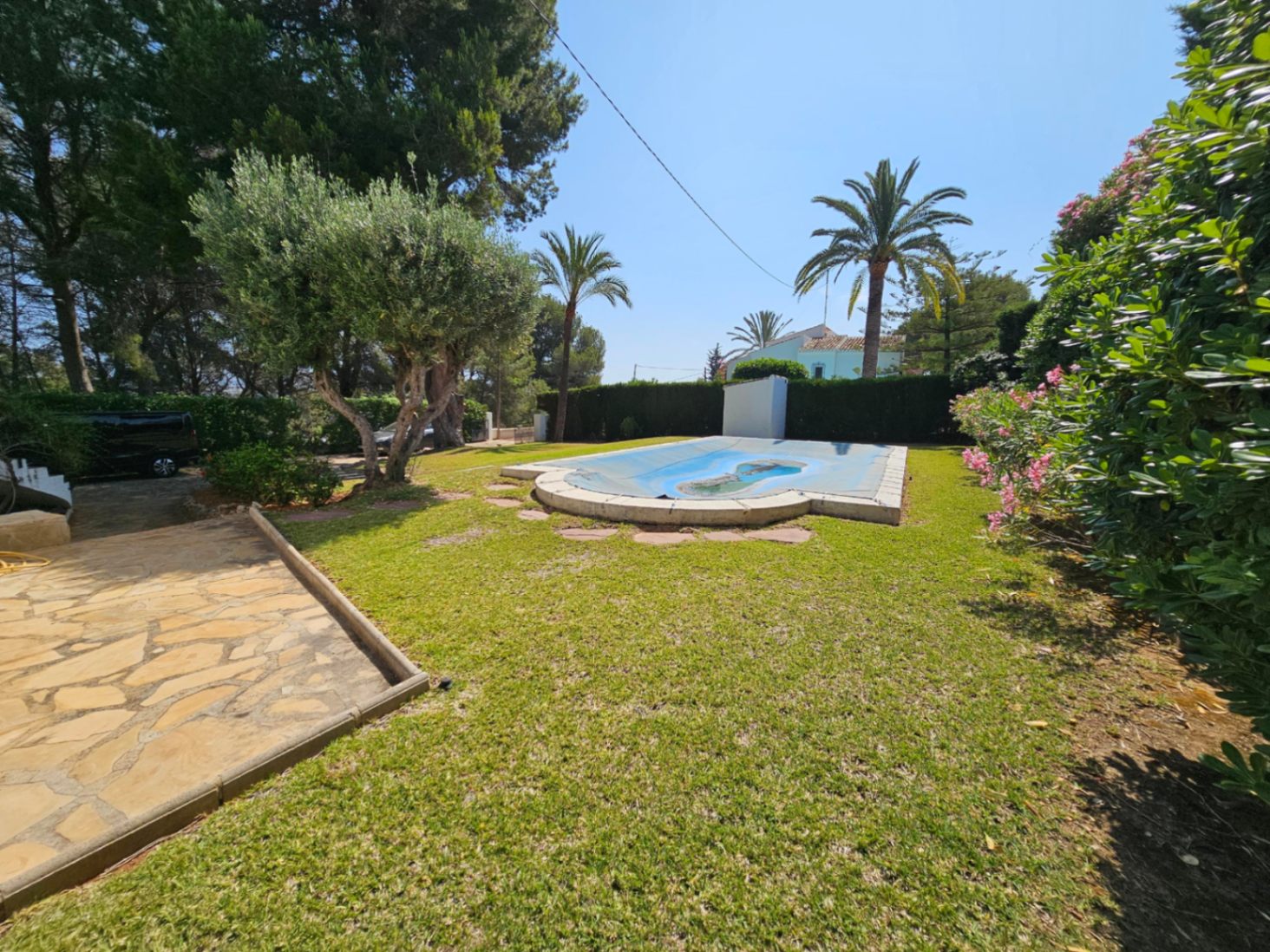 Außenbereich mit Rasenfläche, Olivenbäumen und Palmen sowie einem Pool mit blauer Sicherheitsabdeckung und Steineinfassung.