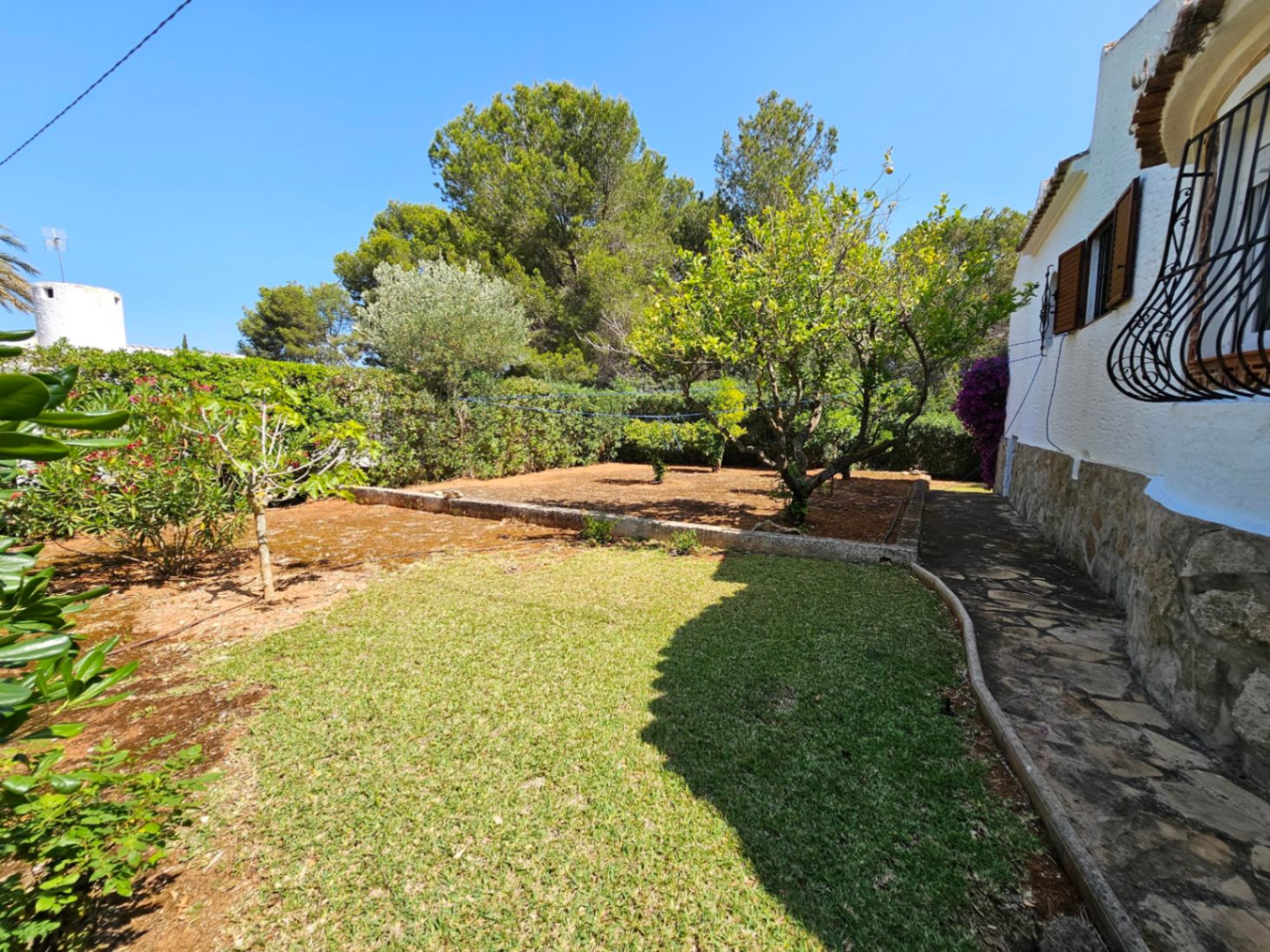 Gartenbereich mit Naturrasen, Steinpfad und alten Obstbäumen vor einer Kulisse aus mediterranen Pinien unter strahlend blauem Himmel.