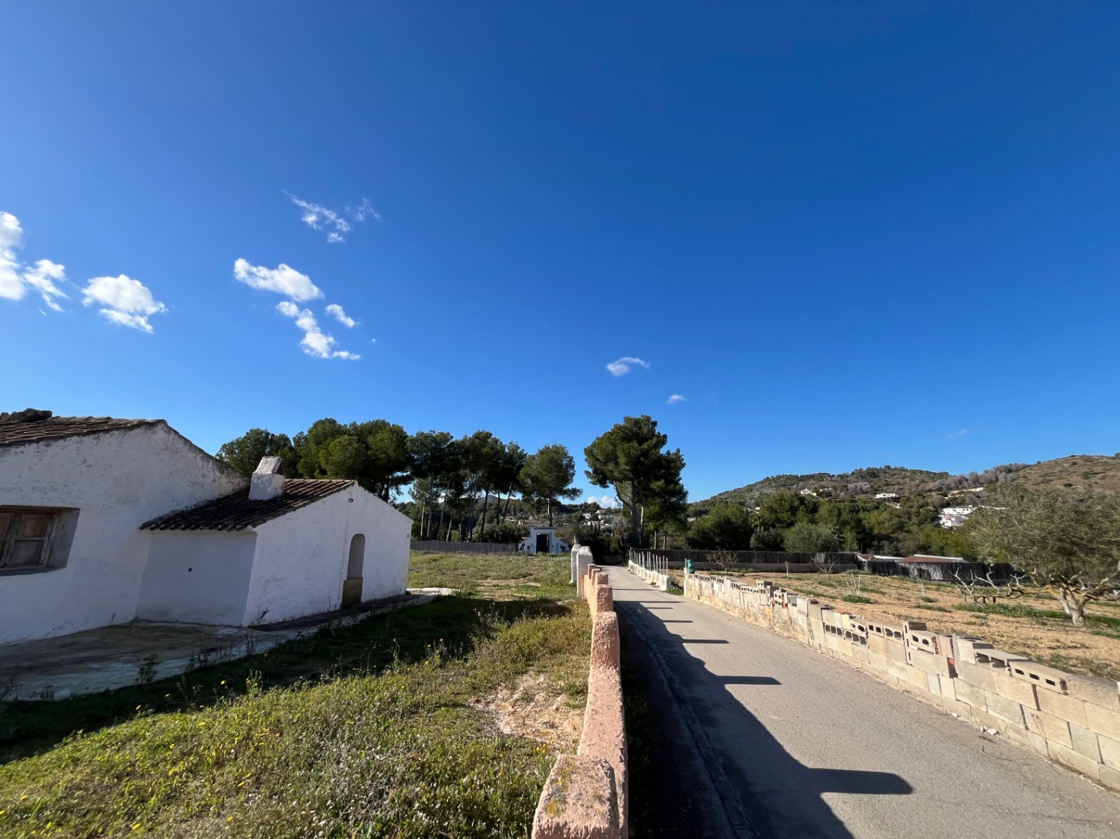 Außenansicht der traditionellen, weiß getünchten Finca mit Ziegeldach, gepflasterter Zufahrt und mediterraner Landschaft mit Pinienbestand.