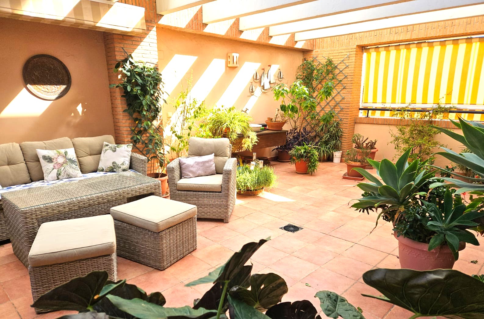 Großzügige Terrasse mit Terrakotta-Fliesen, Sitzgruppe aus grauem Polyrattan, weißen Pergola-Balken und vielfältiger mediterraner Bepflanzung in Töpfen.