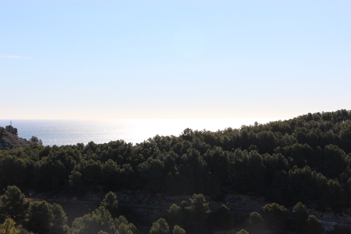 Erhöhter Panoramablick auf einen dichten mediterranen Pinienwald mit Blick auf das Meer und Sonnenreflexionen auf dem Wasser.
