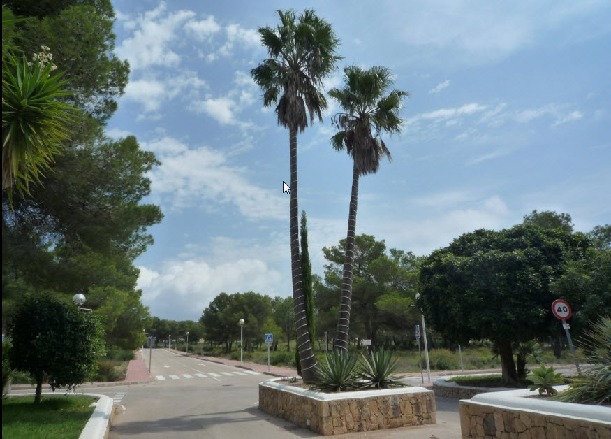 Flache Baugrundstücke mit Meerblick in Jávea