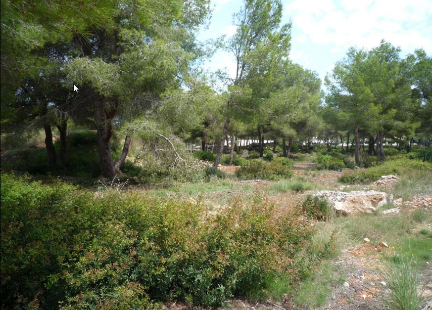 Flache Baugrundstücke mit Meerblick in Jávea