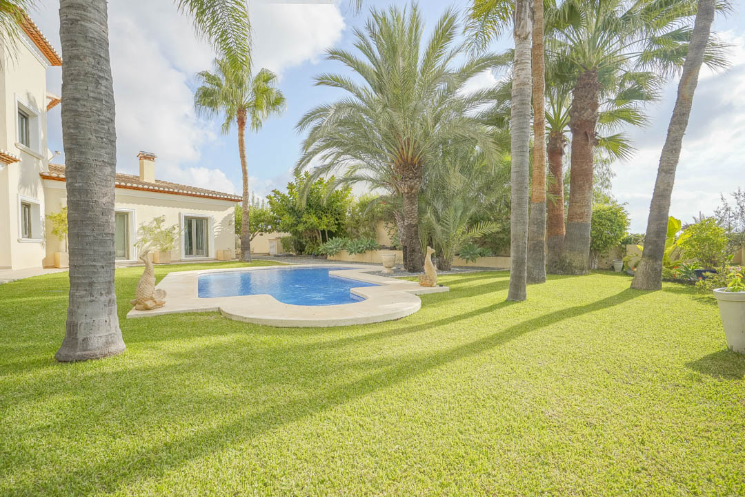 Mediterraner Garten mit gepflegtem Rasen, hohen Palmen und einem nierenförmigen Pool mit Natursteineinfassung direkt neben der Villa.