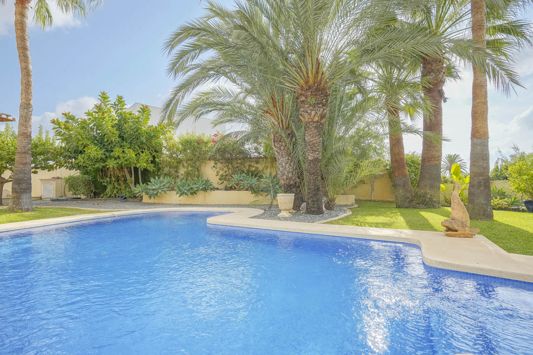 Privater Swimmingpool mit geschwungenem Rand, umgeben von einem eingewachsenen mediterranen Garten mit hohen Palmen und gepflegter Rasenfläche.