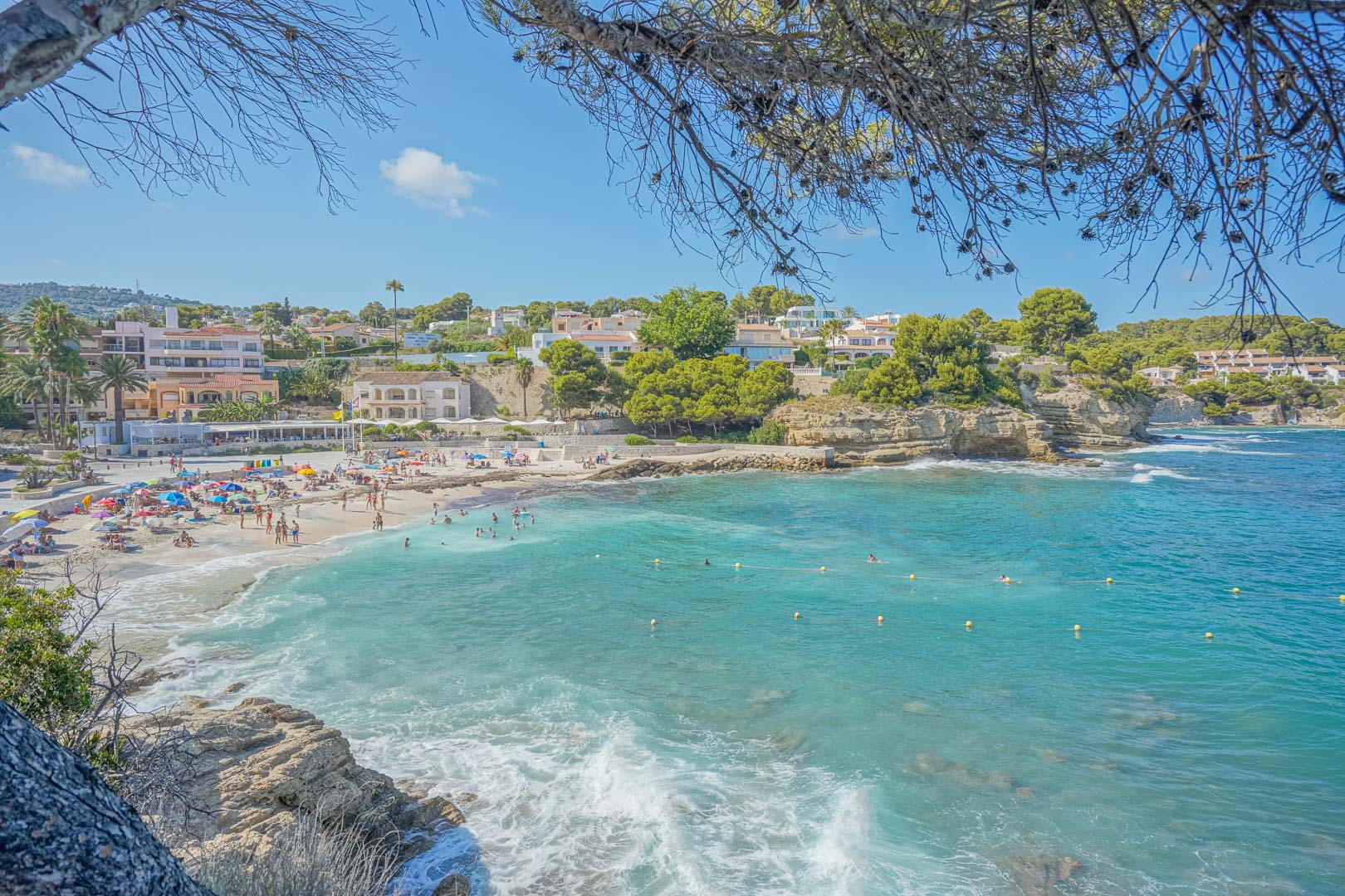 Panoramablick auf die Cala de la Fustera mit türkisblauem Wasser, Sandstrand und Küstenbebauung, eingerahmt von mediterranen Pinien.