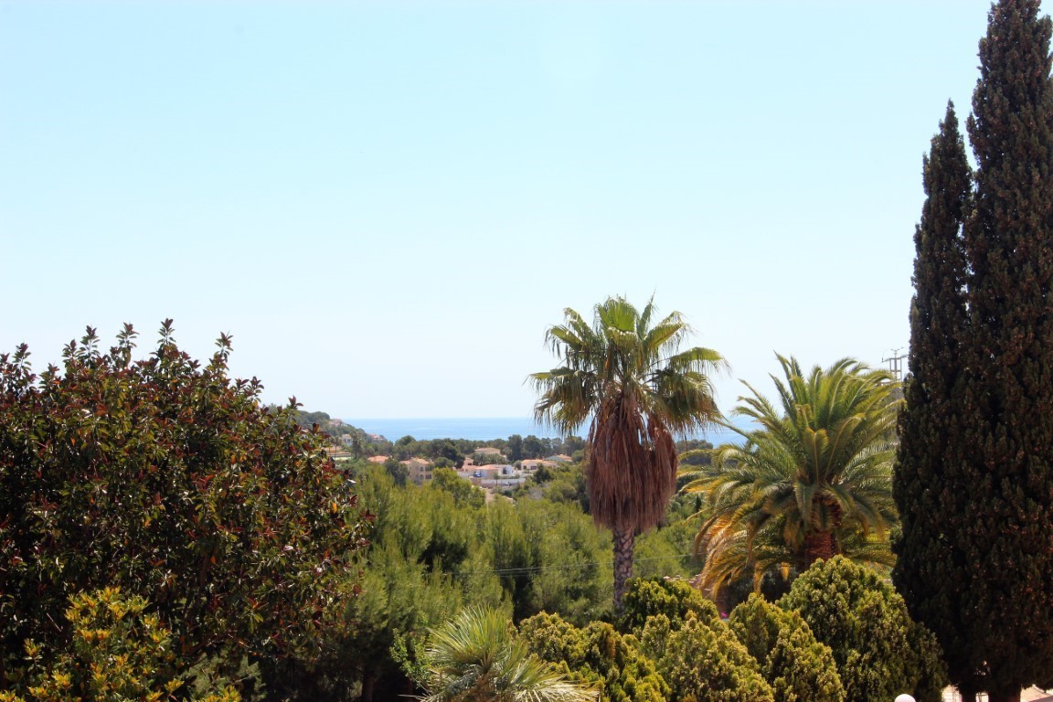 Panoramablick auf das Mittelmeer vom Grundstück aus, umgeben von mediterraner Vegetation mit Palmen und hohen Zypressen.