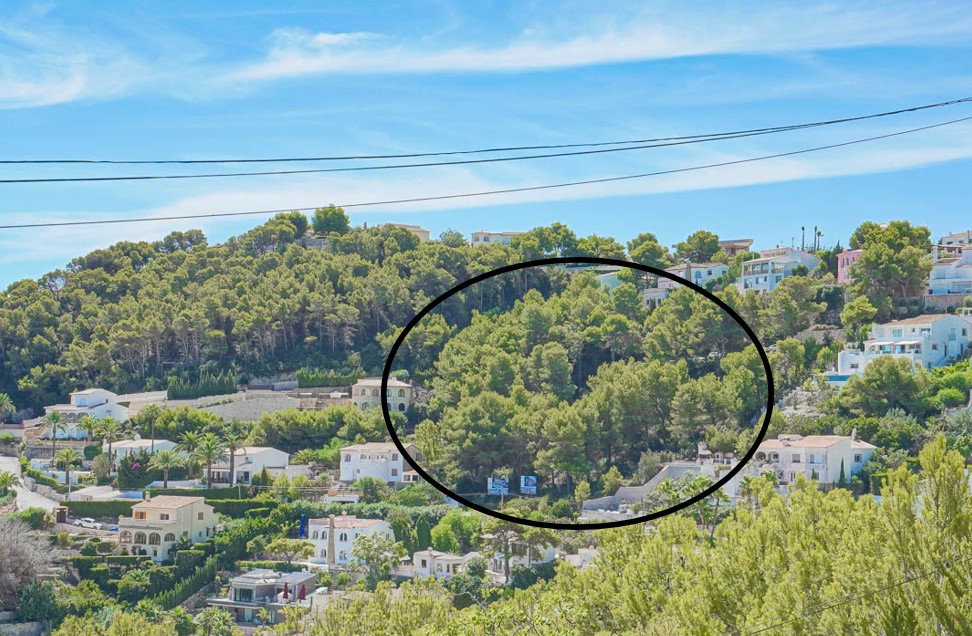 Panoramablick auf das erhöhte Baugrundstück in Jávea, geprägt von dichtem Pinienbestand inmitten einer etablierten Villengegend.
