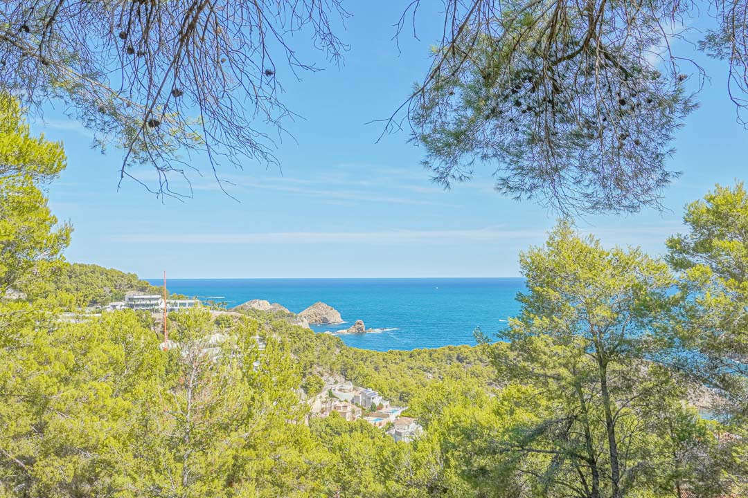 Panoramablick auf das Mittelmeer und die Insel Portichol vom Grundstück aus, eingerahmt von einheimischen Pinien und Küstenvegetation in Jávea.