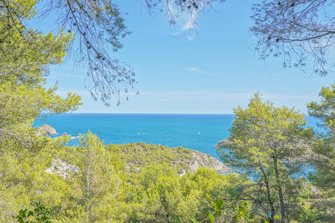 Panoramablick auf das Mittelmeer und die Küste von Portichol, eingerahmt von Pinien von der erhöhten Lage des Baugrundstücks aus.