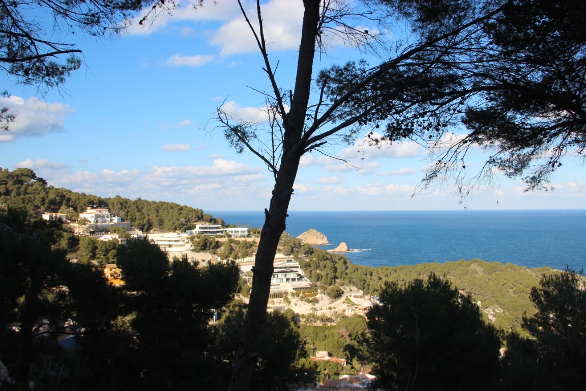 Erhöhter Blick auf das Mittelmeer und die Küste von Jávea, eingerahmt von wilden Pinien mit Aussicht auf luxuriöse Hangvillen.