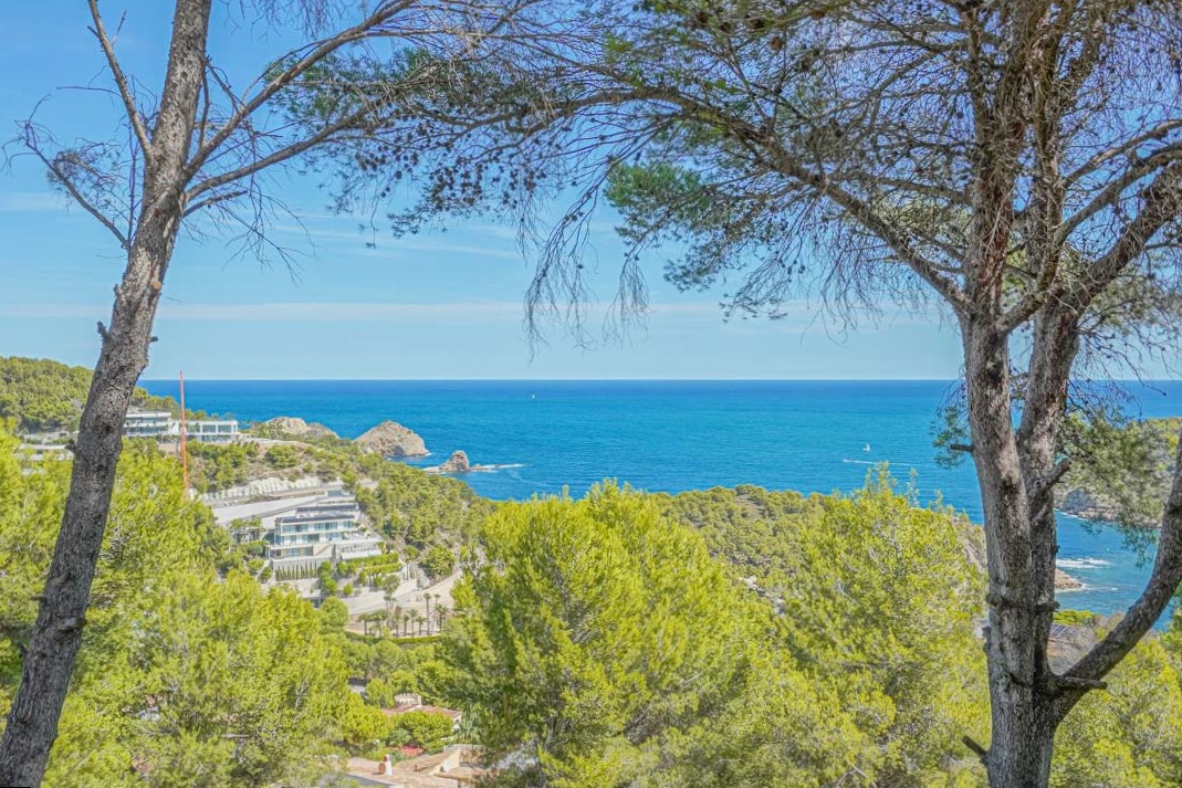Panoramablick auf das Mittelmeer, eingerahmt von Pinien, mit Aussicht auf die zerklüftete Küste von Jávea und die üppige Vegetation der mediterranen Hanglage.