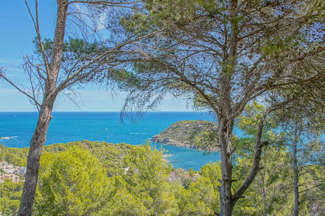 Panoramablick auf das Mittelmeer und die Insel Portichol, eingerahmt von einheimischen Pinien in der exklusiven Lage von Jávea.