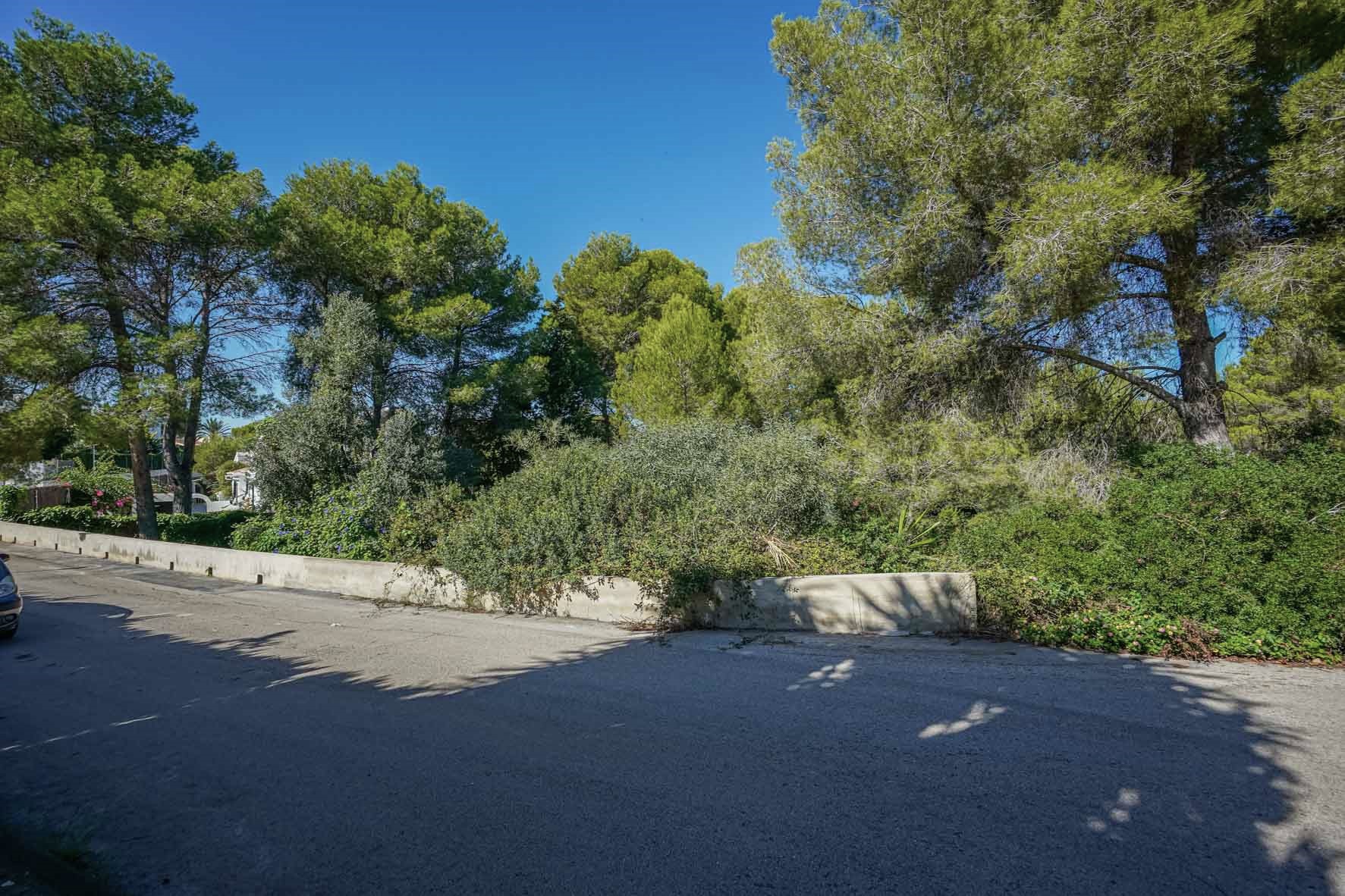 Außenansicht des Eckgrundstücks mit einer Betonbegrenzungsmauer, hohen Pinien und dichter mediterraner Vegetation an einer ruhigen, asphaltierten Straße.